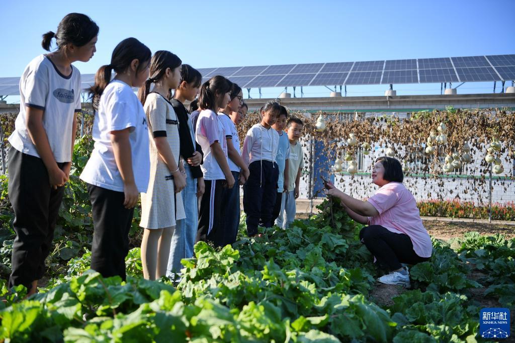 合乐888总代